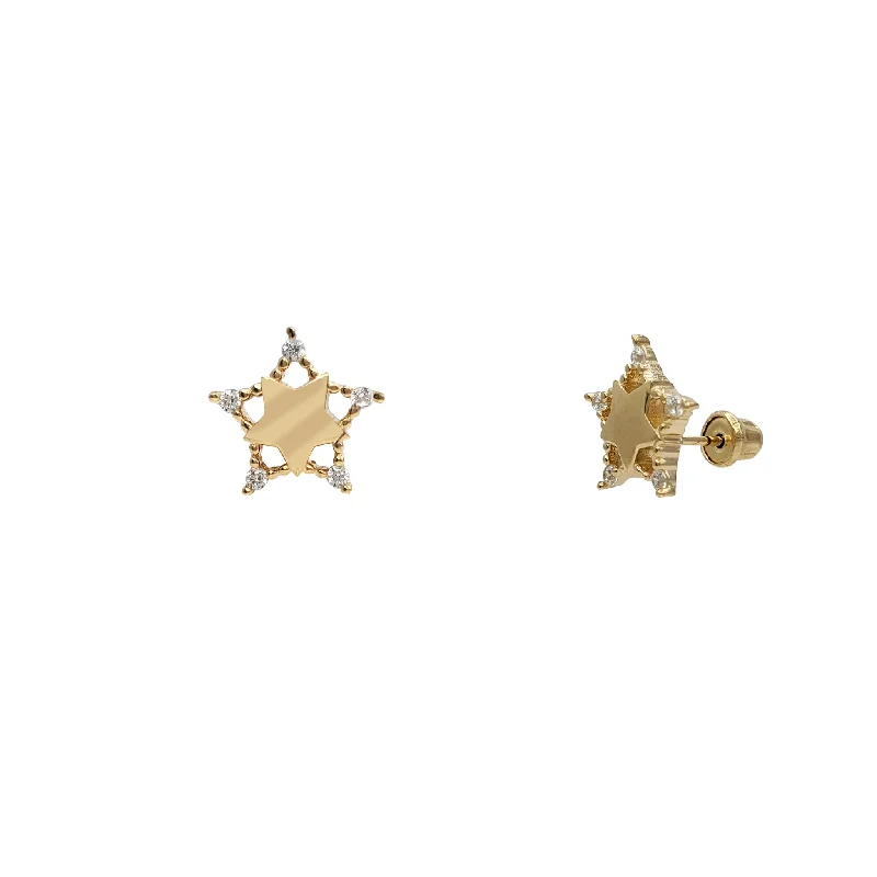 simple earrings for women-Zirconia Glossy Star Stud Earrings (14K)