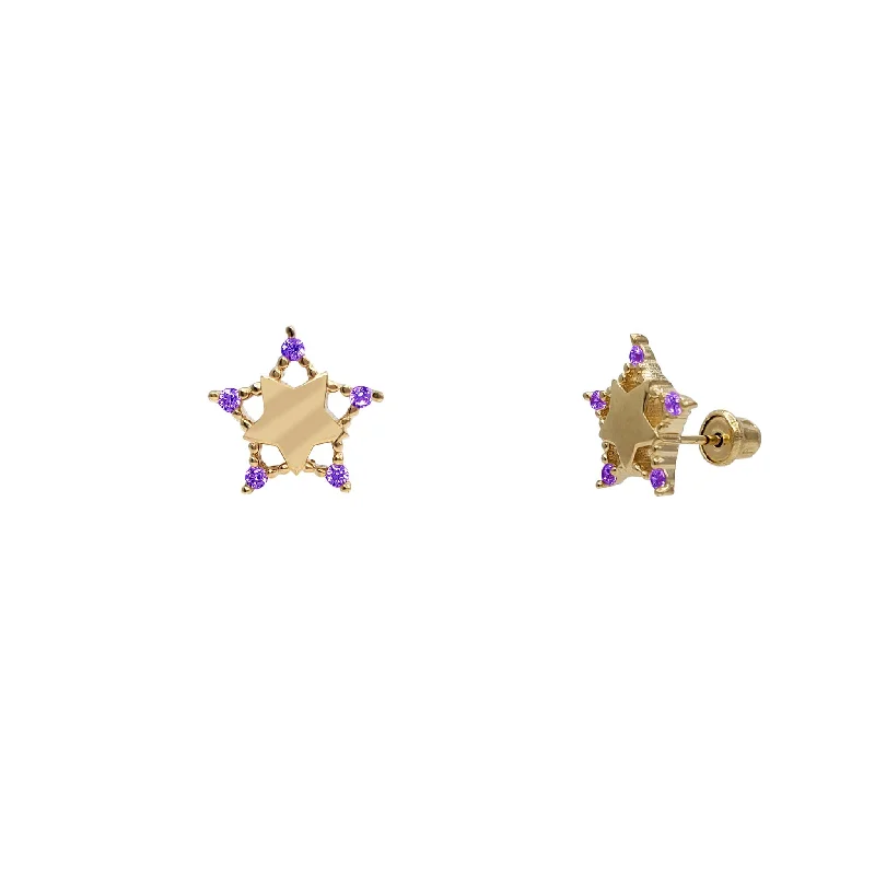 gemstone stud earrings for women-Purple Zirconia Glossy Star Stud Earrings (14K)